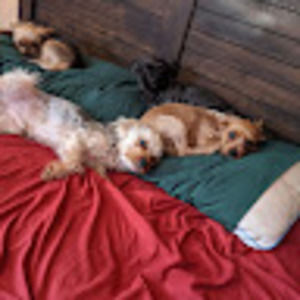 Meet your Posher, Andrea